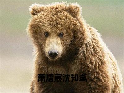 萧熠宸沈知鸢全文阅读 萧熠宸沈知鸢免费阅读无弹窗