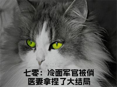 七零：冷面军官被俏医妻拿捏了（蒋易李依依全章节完整版）免费阅读_七零：冷面军官被俏医妻拿捏了（蒋易李依依）最新章节列表笔趣阁