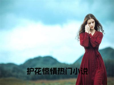 护花惊情韩静姝顾北川小说结局-护花惊情全文无弹窗阅读