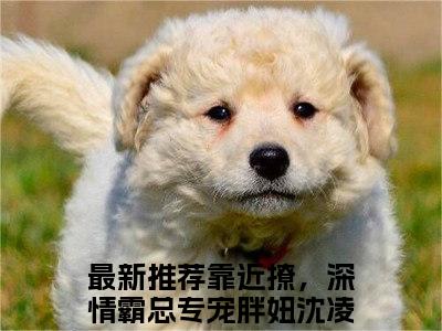 （靠近撩，深情霸总专宠胖妞沈凌薇）是什么小说_主角是（靠近撩，深情霸总专宠胖妞沈凌薇）的小说（靠近撩，深情霸总专宠胖妞沈凌薇）最新章节列表_笔趣阁