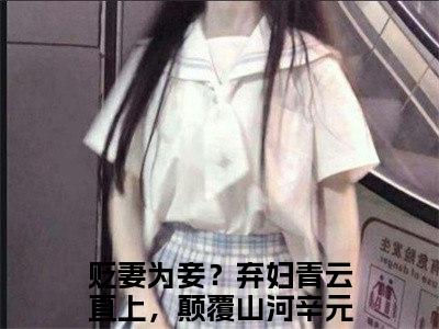 贬妻为妾？弃妇青云直上，颠覆山河辛元元全文免费阅读无弹窗大结局-（贬妻为妾？弃妇青云直上，颠覆山河辛元元）免费阅读无弹窗最新章节列表-笔趣阁