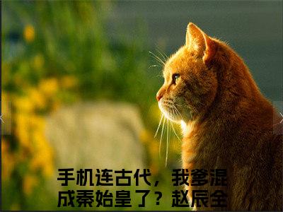 手机连古代，我爹混成秦始皇了？赵辰的小说（手机连古代，我爹混成秦始皇了？赵辰）免费阅读_手机连古代，我爹混成秦始皇了？赵辰小说免费阅读-笔趣阁