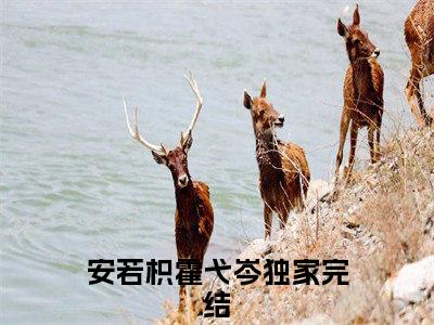 安若枳霍弋岑「精彩小说」无弹窗阅读 安若枳霍弋岑大结局阅读