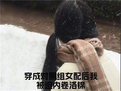 穿成对照组女配后我被迫内卷洛锦（穿成对照组女配后我被迫内卷洛锦）全文免费阅读无弹窗大结局_穿成对照组女配后我被迫内卷洛锦在线阅读（穿成对照组女配后我被迫内卷洛锦）