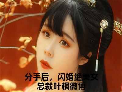 《分手后，闪婚绝美女总裁叶枫》最新章节免费阅读-分手后，闪婚绝美女总裁叶枫无广告小说精彩阅读