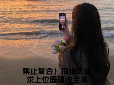 禁止复合！痴情大佬求上位墨瑾汐（禁止复合！痴情大佬求上位墨瑾汐）全文免费阅读无弹窗_禁止复合！痴情大佬求上位墨瑾汐最新小说_笔趣阁（禁止复合！痴情大佬求上位墨瑾汐）