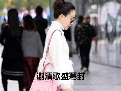 谢清歌盛寒封（谢清歌盛寒封）全文免费阅读无弹窗大结局_(谢清歌盛寒封)最新章节列表_笔趣阁