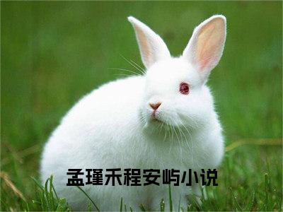 孟瑾禾程安屿全文免费在线阅读_（孟瑾禾程安屿全文免费阅读无弹窗大结局）孟瑾禾程安屿最新章节列表_笔趣阁