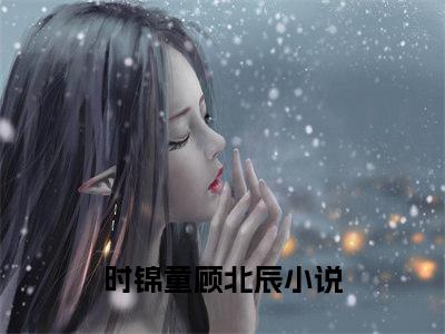 时锦童顾北辰精彩小说（时锦童顾北辰）在哪免费看-小说(时锦童顾北辰)全文完整版免费阅读