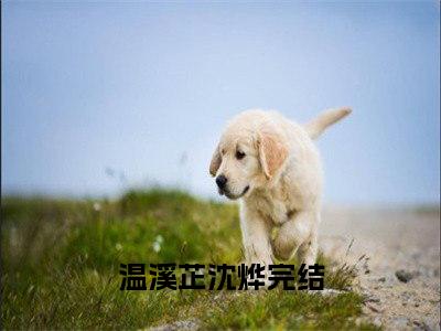 温溪芷沈烨（温溪芷沈烨小说）全文免费阅读无弹窗大结局_（温溪芷沈烨阅读无弹窗）温溪芷沈烨小说章节列表_笔趣阁