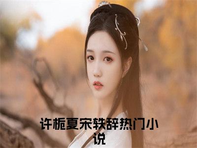 许栀夏宋轶辞小说（许栀夏宋轶辞）无弹窗大结局-许栀夏宋轶辞完整版免费阅读