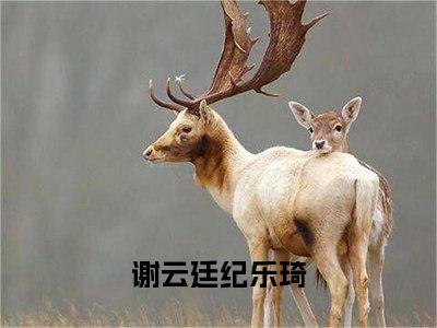 谢云廷纪乐琦（谢云廷纪乐琦）全文免费阅读无弹窗大结局_谢云廷纪乐琦最新章节列表_笔趣阁（谢云廷纪乐琦）