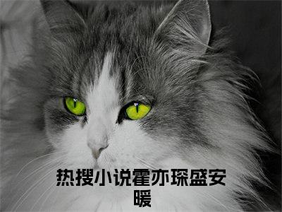 霍亦琛盛安暖（霍亦琛盛安暖）全文免费阅读无弹窗完整版，（霍亦琛盛安暖）免费阅读全文最新章节列表_笔趣阁