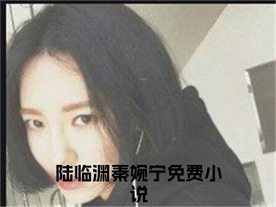 陆临渊秦婉宁小说_主角叫：陆临渊秦婉宁的小说全文免费阅读无弹窗