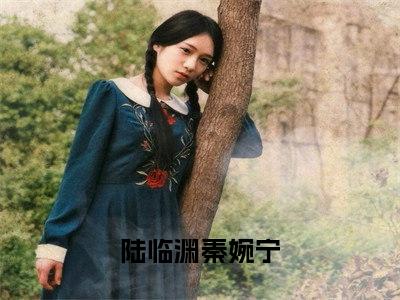 陆临渊秦婉宁（陆临渊秦婉宁）全文免费阅读无弹窗大结局_（陆临渊秦婉宁）陆临渊秦婉宁全文最新章节列表_笔趣阁（陆临渊秦婉宁）