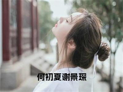 (何初夏谢景琛)最新章节在线阅读-小说无弹窗免费阅读