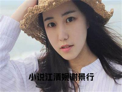 江清婉谢景行全文免费阅读_（江清婉谢景行免费阅读无弹窗）江清婉谢景行最新章节列表笔趣阁