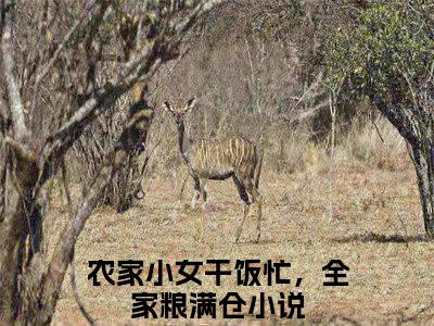 农家小女干饭忙，全家粮满仓（宋书王素花）小说免费下载全本-农家小女干饭忙，全家粮满仓（宋书王素花完整版）免费阅读