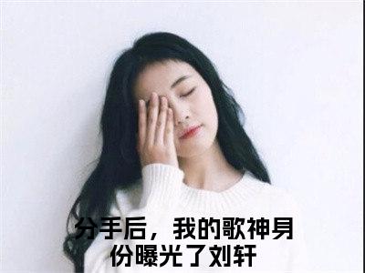 分手后，我的歌神身份曝光了刘轩在线阅读全文免费阅读无弹窗大结局_分手后，我的歌神身份曝光了刘轩最新章节列表_笔趣阁