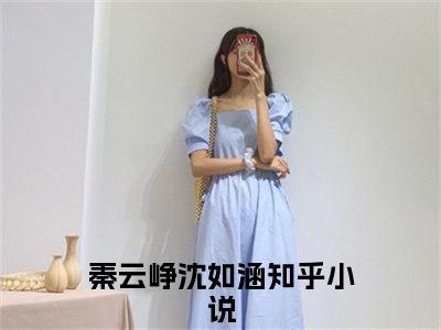 秦云峥沈如涵小说（秦云峥沈如涵）全文免费阅读无弹窗大结局_秦云峥沈如涵小说免费阅读无弹窗最新章节列表