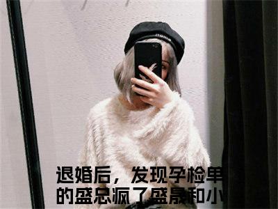 退婚后，发现孕检单的盛总疯了盛晟和小说免费阅读无弹窗，小说名字是：退婚后，发现孕检单的盛总疯了盛晟和的小说在线阅读无删减