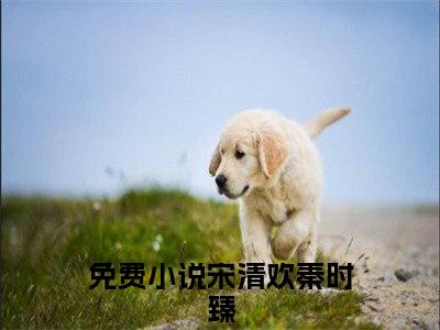 宋清欢秦时臻小说(宋清欢秦时臻)小说全文免费阅读_（宋清欢秦时臻）宋清欢秦时臻最新章节列表