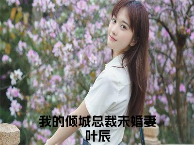 我的倾城总裁未婚妻叶辰是的小说-《我的倾城总裁未婚妻叶辰》完整章节阅读无弹窗免费阅读大结局