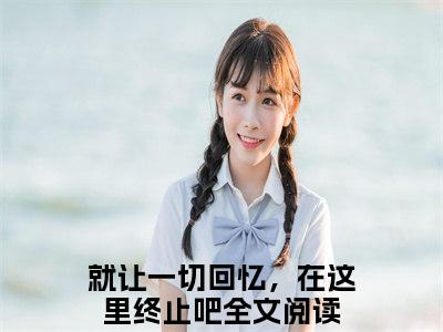 就让一切回忆，在这里终止吧免费阅读无弹窗大结局-宋昭禾陆琮聿最新全章节全文阅读免费阅读-笔趣阁