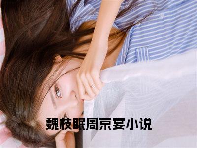 （魏枝眠周京宴）全文免费阅读无弹窗大结局_（要命！被京圈太子爷强取豪夺）章节列表_笔趣阁