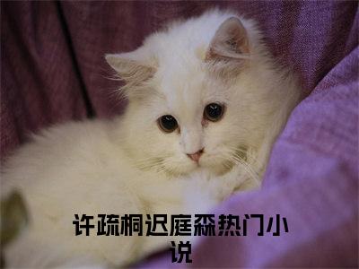 许疏桐迟庭森（许疏桐迟庭森）全文免费阅读无弹窗_许疏桐迟庭森全文免费阅读最新章节大结局_