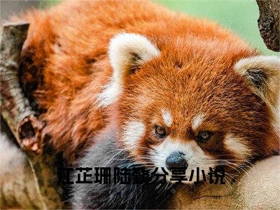 无广告小说江芷珊陆勤全文免费阅读无弹窗大结局-绝不离婚，陆总他想父凭子贵川在线阅读