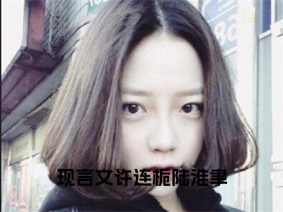 许连栀陆淮聿（许连栀陆淮聿）全文免费阅读无弹窗大结局_许连栀陆淮聿完整版小说阅读（许连栀陆淮聿）