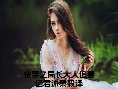 快穿之局长大人追妻记（君沐秦毅泽）全文免费阅读_快穿之局长大人追妻记（君沐秦毅泽在线小说免费阅读）