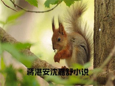 全网热搜（蒋湛安沈嘉舒）是什么小说_蒋湛安沈嘉舒小说（蒋湛安沈嘉舒）热门章节阅读无弹窗_笔趣阁