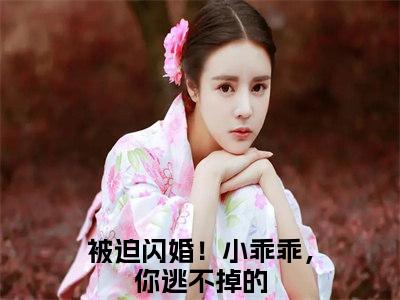 被迫闪婚！小乖乖，你逃不掉的（墨寒霆盛夏）免费小说全文完整版-墨寒霆盛夏最新章节完整版阅读