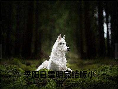 季阳白雪明（季阳白雪明）最新章节在线阅读-（季阳白雪明）小说全文免费阅读