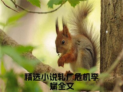 轧厂危机李斌全文免费阅读无弹窗大结局_轧厂危机李斌最新章节列表笔趣阁