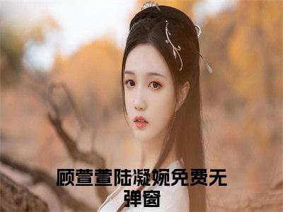 (番外)+(全文)顾萱萱陆凝婉后续+番外小说免费下载阅读顾萱萱陆凝婉后续+番外小说最新章节列表_笔趣阁（顾萱萱陆凝婉后续+番外）