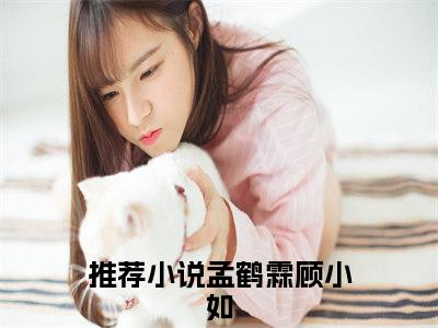 孟鹤霖顾小如（孟鹤霖顾小如）小说全文免费阅读正版无弹窗_孟鹤霖顾小如完结免费阅读无弹窗_笔趣阁