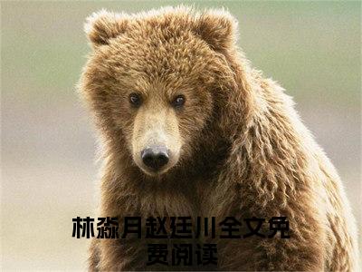 林淼月赵廷川免费（又见山海）全文免费阅读无弹窗大结局_又见山海免费最新章节列表_笔趣阁