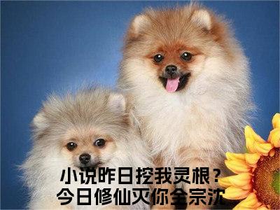 昨日挖我灵根？今日修仙灭你全宗沈则道小说（昨日挖我灵根？今日修仙灭你全宗沈则道）全文在线阅读无弹窗大结局