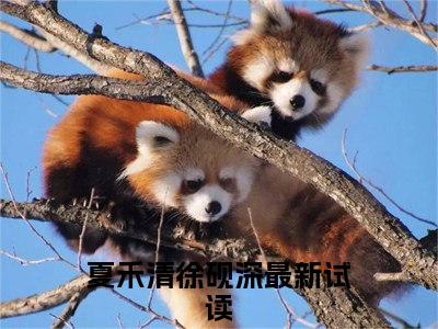 夏禾清徐砚深（夏禾清徐砚深）全文免费阅读无弹窗大结局_夏禾清徐砚深免费最新章节列表_笔趣阁（夏禾清徐砚深）