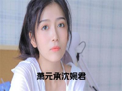 小说(萧元承沈婉君)免费阅读-萧元承沈婉君小说全文在线赏析