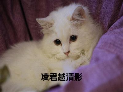 凌君越清影小说(凌君越清影)全文免费阅读无弹窗大结局_凌君越清影小说免费阅读无弹窗最新章节列表_笔趣阁