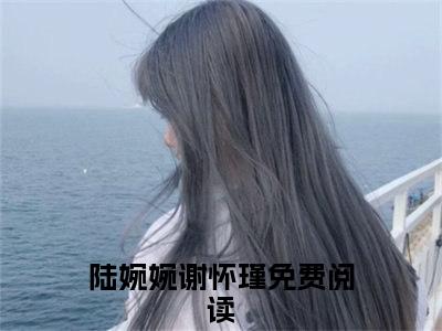 陆婉婉谢怀瑾高赞小说（踹掉渣男后，她成了首辅夫人）完结阅读_陆婉婉谢怀瑾全文完整版免费阅读最新章节列表