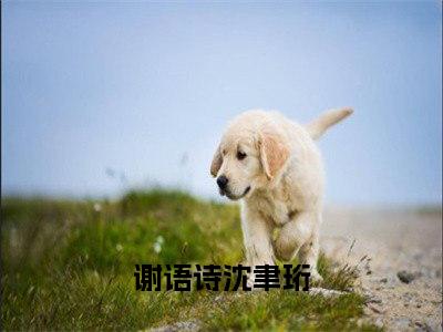 谢语诗沈聿珩（谢语诗沈聿珩）完结小说无弹窗-谢语诗沈聿珩全文大结局免费阅读已完结