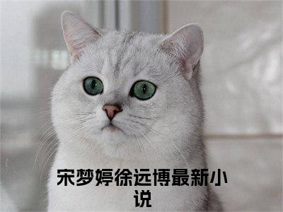 深情于冰雪埋葬宋梦婷徐远博小说在哪里可以看宋梦婷徐远博免费在线阅读