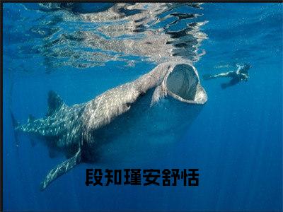 精选好书（段知瑾安舒恬），段知瑾安舒恬全文无删减版在线阅读