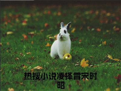 凌择霄宋时昭小说最新章节（凌择霄宋时昭）全文免费阅读无弹窗大结局_凌择霄宋时昭免费阅读（凌择霄宋时昭小说）