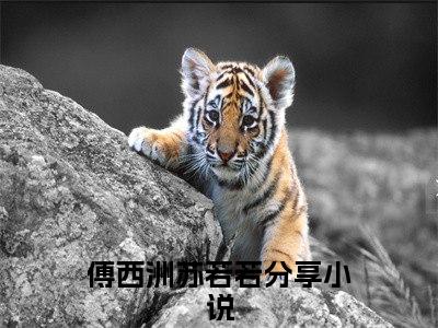 傅西洲苏若若（傅西洲苏若若）全文免费阅读无弹窗_傅西洲苏若若最新小说_笔趣阁（傅西洲苏若若）